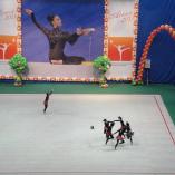 Турнир «Алина» 2013 - 12 