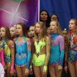 Турнир «Алина» 2014 - 154 